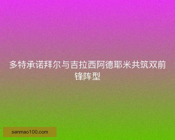 多特承诺拜尔与吉拉西阿德耶米共筑双前锋阵型